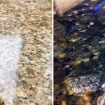 How To Fix A Chip In Marble Countertop