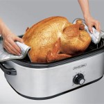 Turkey In A Countertop Roaster